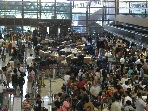 International Terminal, LAX, July 2 (P7020287)