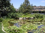 Dickenson Estate, Rancho Sante Fe, CA, July 15 (P7150311)